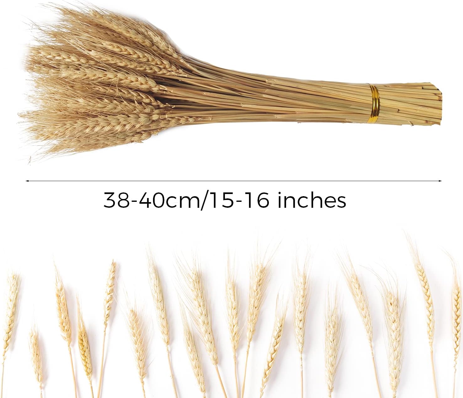 CoolCrafts 100 db Természetes Búzakalász Szárított Virág Dekorációhoz - Image 2