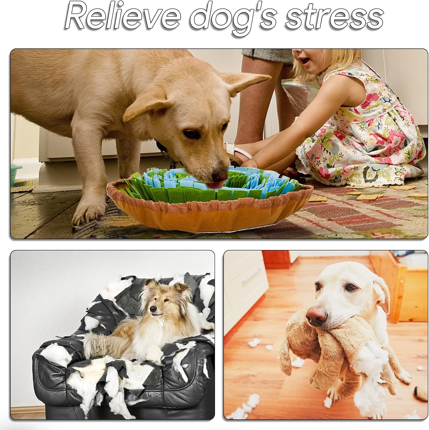 Senders Kutya Szaglószőnyeg - Lassú Etetés, Stresszoldás, Kölyökkutyáknak is - Image 7